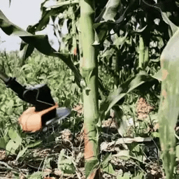 Set Podadora 2 Baterias Portatil Llantas